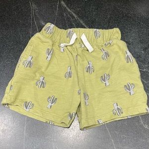 Green Sweat Shorts with Cactus Print Baby Boy 18 Month old